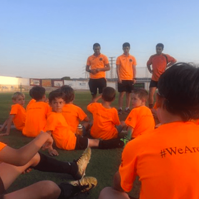 Pygmalion Effect in Grassroots