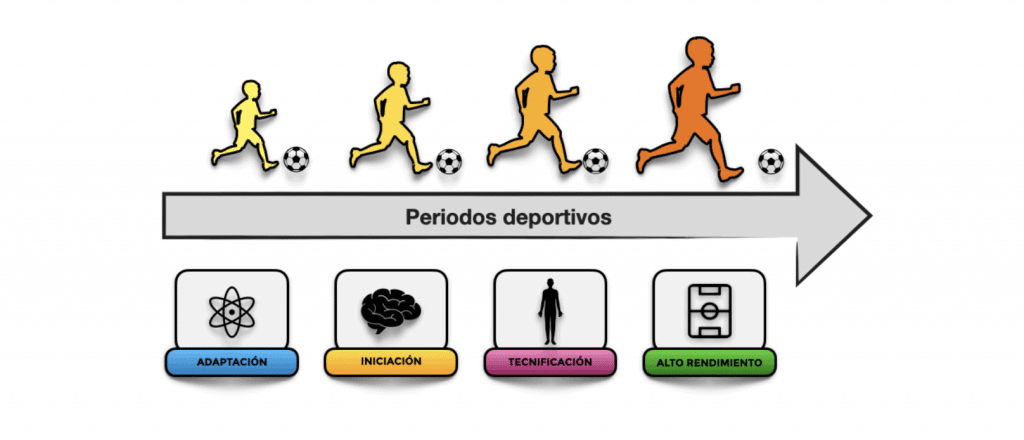 Captura de pantalla 2021 04 08 a las 10.18.53 1 LOS 4 PERÍODOS POR LOS QUE PASA UN JUGADOR DE FÚTBOL MBP School of coaches