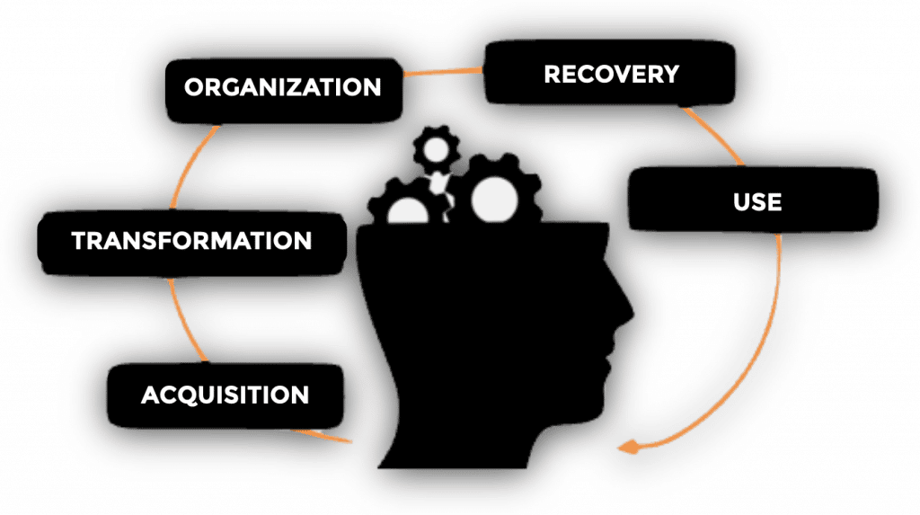 the-teaching-learning-process