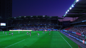 Read more about the article Team performance in football explained through 2 theories