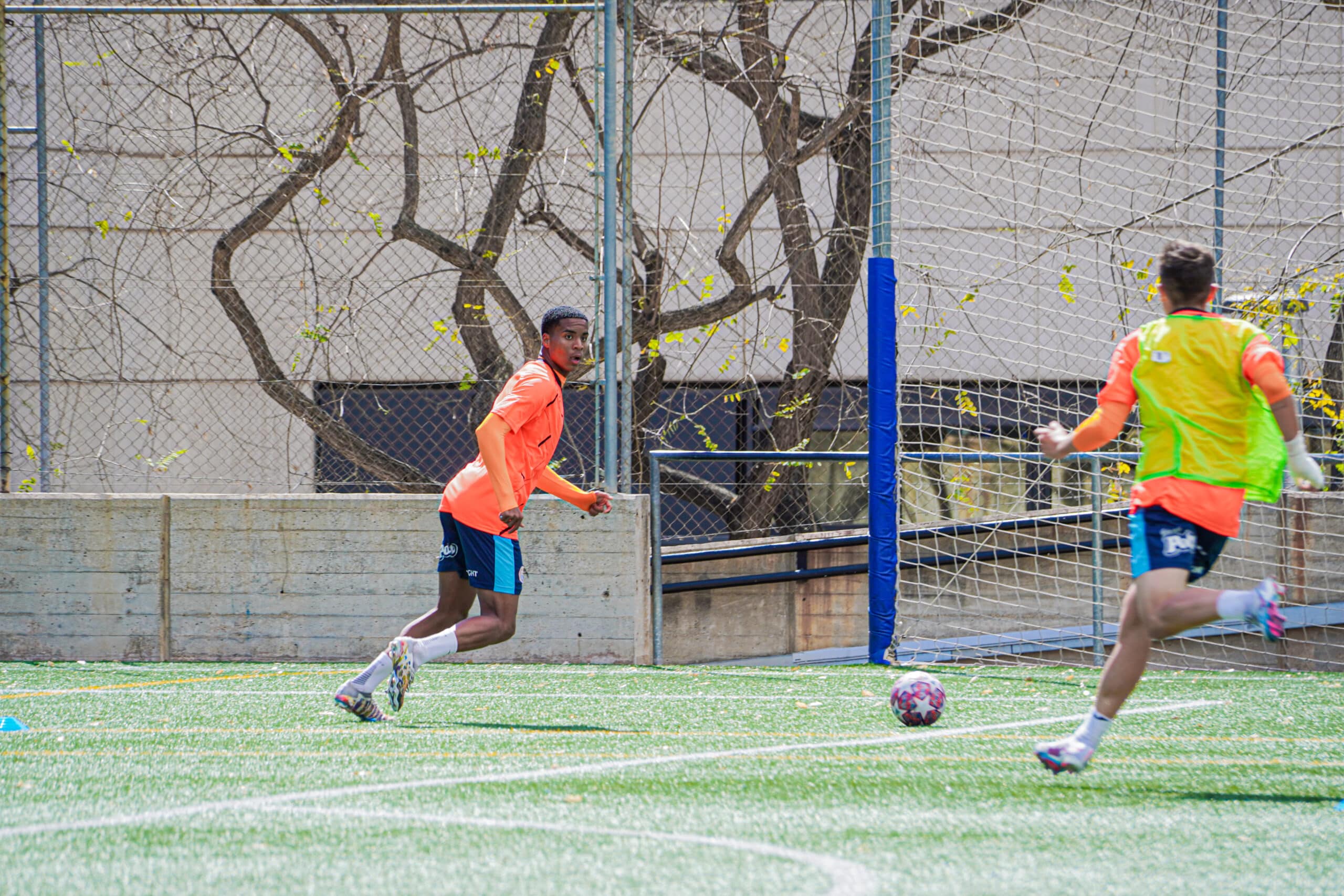 You are currently viewing The training session in the technification period