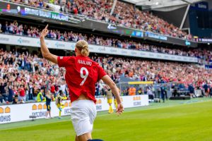 Read more about the article The 4 Striker Profiles and their Main Characteristics 